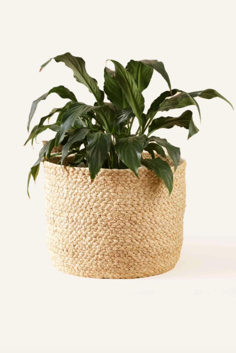 BRAIDED RAFFIA PLANTER